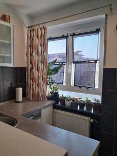 Apartment Agacia - 5