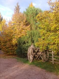 Excellent country house in a private neighborhood for 10 - 7