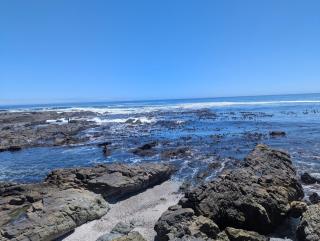 Modern Studio with Balcony in Prime Sea Point - Kapstadt - 7