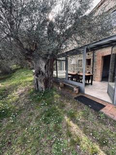 Maison Lia Tuscan Countryside - 7