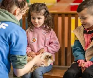 Dog-Friendly 8-Person Cottage with Private Hot Tub - Cantref, Brecon - 4