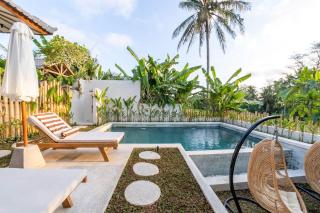 Singakerta Villa - 5