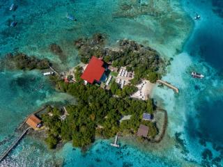 Pao Pao Cartagena - 1