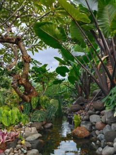 Aramaya Hills Boutique - 7