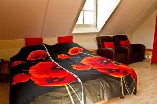 Bed & Breakfast Maryland - Asten-Heusden - 3