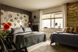 B&B Habitat - Beverwijk - 7
