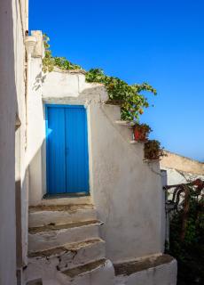 Apulian Tree eleganza e comfort in centro - 9