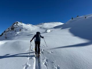 Penthouse - Wiedehopf - 6