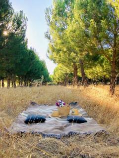 Casas das Piçarras - Alentejo - 1