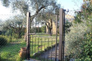 Casa in campagna nel Chianti colline senesi - 4