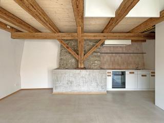 Färberhaus Denkmal Rheinfall Schaffhausen Bodensee - 3