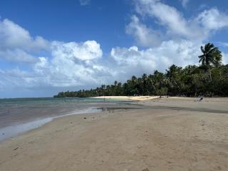 Cozy studio in Portillo, Las Terrenas - 8