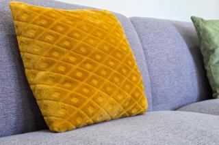 Heart of Cedofeita - 5