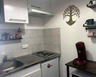 Studio cosy à Gérardmer 5 min centre 10 min lacs - 1