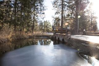 Bitterroot Hidden Oasis - 4