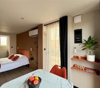 Suite indépendante confort avec terrasse et parking privé -  - 1