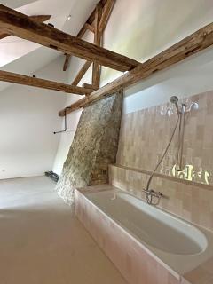 Färberhaus Denkmal Rheinfall Schaffhausen Bodensee - 8