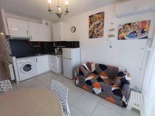 T1 Classé 3 Étoiles avec Animaux Admis et Climatisation - FR-1-571-49 - 4