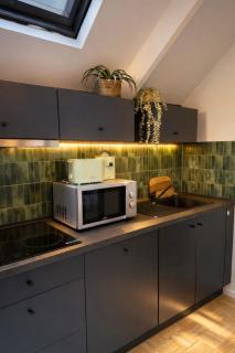 Luxurious Penthouse with TV & 2 Bedrooms - 3