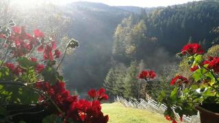 Cabanele de la Furcitura - 6