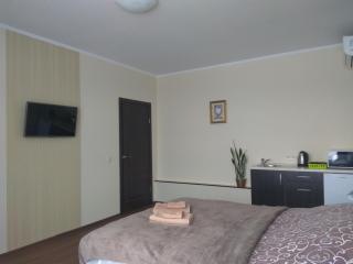 S&M Apartments - Zarichna - Kiev - 1