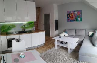 Modern & bright apartment, free Parking, away from crowds - 5