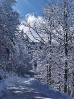 Lo Scoiattolo e il Ghiro - 6