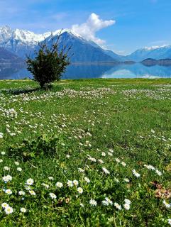 Lake Como PORTO VECCHIO - Charming Lakefront Apartment in the Heart of Domaso - 1