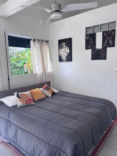 Studio Eco-Nature - 9