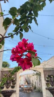 Refúgio Exclusivo MotoGP 2026 - 20Min do evento - 8