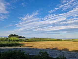 Ferienwohnung Obstgarten - 7