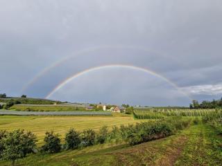 Ferienwohnung Obstgarten - 5