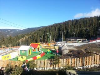Chalet The Best View - Vlasic - 7