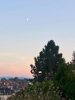 Superbe maison avec jardin - 5