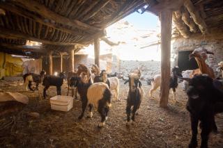 Mineral Spirit Guest House - 8