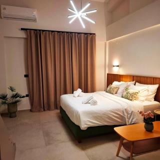 Aelia Luxury Apartments & Pool - 4