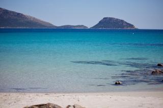 Luxury beach front - 7