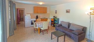 House Stone Curlew 5 - 3