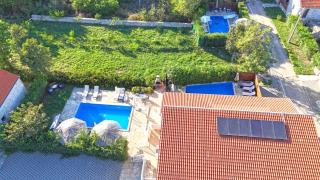 House Stone Curlew 5 - 0