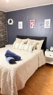 Minidepto temuco - 8