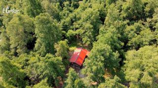 Cafeteria y cabañas Eluney - Koigue - 8