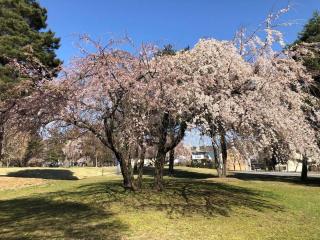 SAUNA FOREST CABIN 軽井沢 御代田 C棟 Bettei - 8