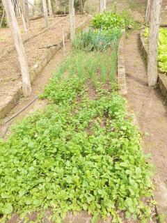 Aconchego cantinho do mato - 8