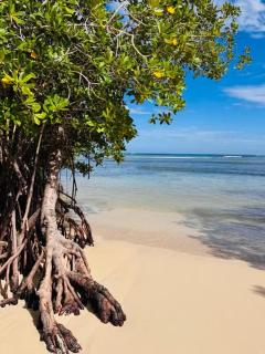 Villa de lujo aislada frente a la playa en Playa Manglar - 4