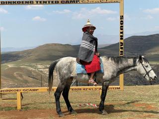 Dinkoeng Tented Camp & Adventure - 4