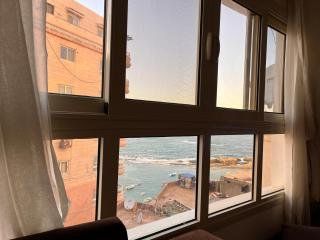 Miami beach Alexandria - 2