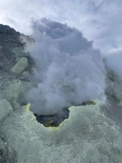 hostal el cipré - 4