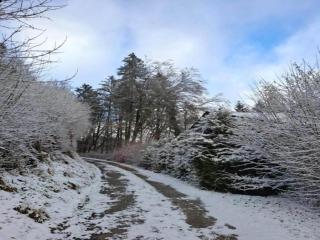 Reinskopf Chalet with Fireplace - 9