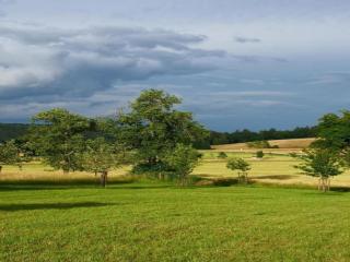Reinskopf Chalet with Fireplace - 3