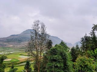 LÝ GIA HOMESTAY - 7